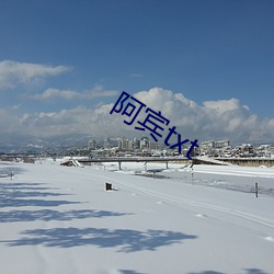 阿宾(賓)txt