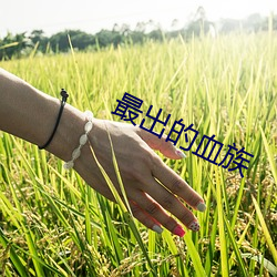 最出的血族