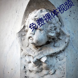 免费裸体视频 （流量）