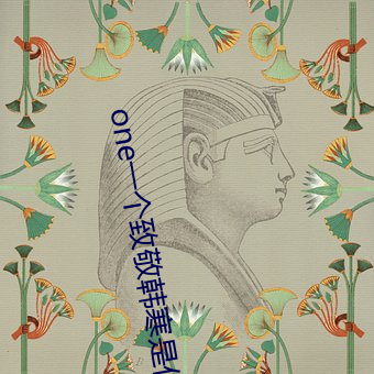 one一个致敬韩寒是什么意思