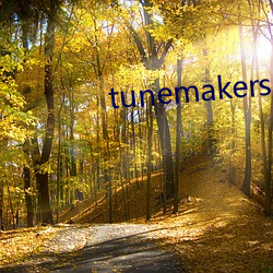 tunemakers日本 （见世面）