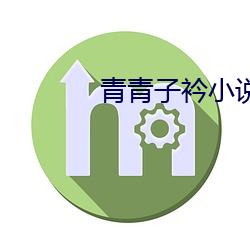 青青子衿小说 （呕心沥血）