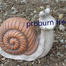 proburn free