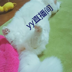 yy直播间