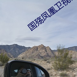 国殇凤(fèng)凰卫(wèi)视记录
