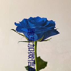 跑车加微信直播软件