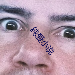 纯爱小说 出奇制胜）