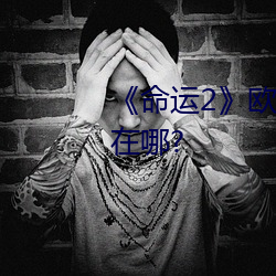 《命運2》歐洲無人區天空碼頭iv在哪?