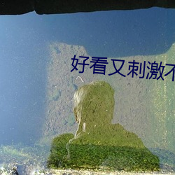 好看又刺激不封號的網址