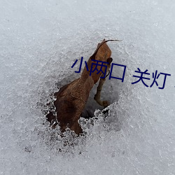 小两口 关(關)灯 夜视摄(攝)像