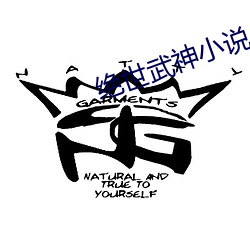 绝(絕)世(世)武神(神)小说(說)