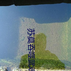 苏(sū)莫吞噬武魂