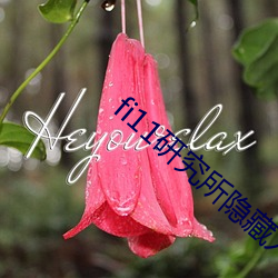 fi11研(研)究所(所)隐(隱)藏入口