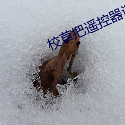 (й) - ٷվ