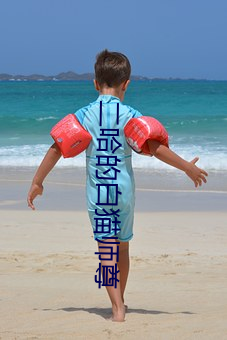 二哈的白猫师(師)尊
