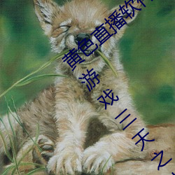 黃色直播軟件app下載3.0.3每天無限vivo版遊戲三天之內下載
