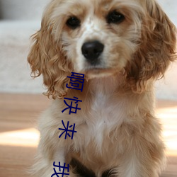 啊 快 来    我 www.7644.nl