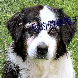 我的傲娇鬼(鬼)夫