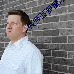 菠(菠)萝菠(菠)萝(蘿)蜜菠萝菠(菠)萝(蘿)蜜