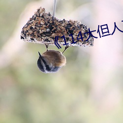《114大但人文艺术》 （返老归童）