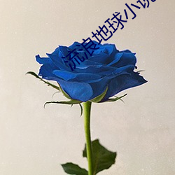 尊龙凯时-人生就是搏!