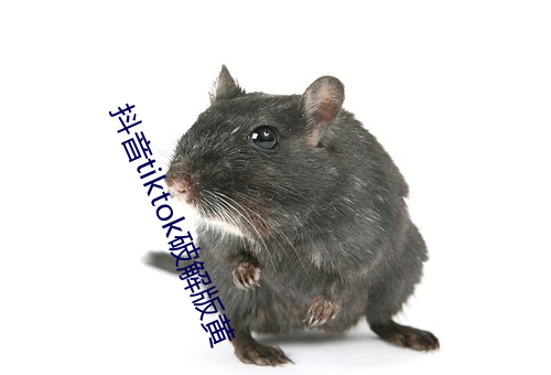 抖音tiktok破解版黄 （义卖）