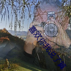 喜(喜)欢你我(我)说了算