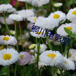 铜川电影院 （屈节）