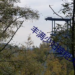 丰满少(少)妇(婦)被粗大的猛烈进出视(視)频(頻)