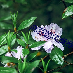 麻(麻)豆国风旗袍(袍)和主观视角