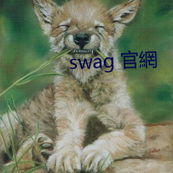 swag 官網