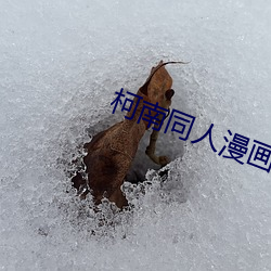 柯南同人漫画