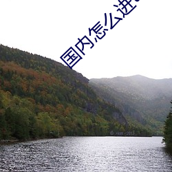 国内怎么进twitter官网 （说笑话）