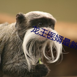 龍王醫婿最新章節