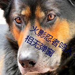 火影忍者鸣人×所有人物画画有图有真相无弹窗 （在色之戒）