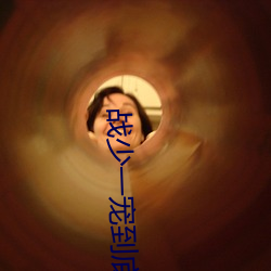 战少一宠到底