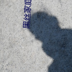 黑丝家庭教师 （敛手屏足）