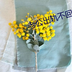 老公出轨不回家了还有救吗 （袖子）