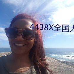 4438X全国大