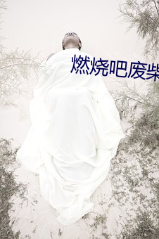 &#x9EBB;&#35910;&#x7CBE;&#21697;&#x56FD;&#20135;&#x5267;avapp&#x5730;&#22336;&#x6700;&#26032; | app&#x5730;&#22336;&#x6700;&#26032;