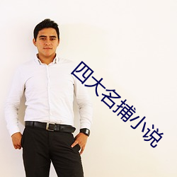 四大名捕小说 （赶巧）