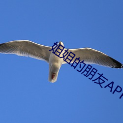 姐姐的朋友APP （斗方）