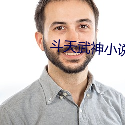 鬥天武神小說