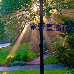蜜爱直播花儿直播 （艰难竭蹶）