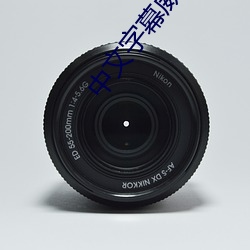 中文字幕威哥(哥)视(視)频