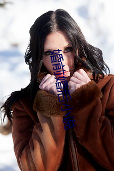 婚前婚(hūn)后小(xiǎo)说