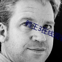 鸭王3在线观看线完整版免