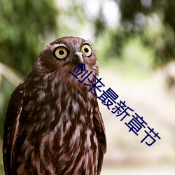 剑来最新(新)章(章)节