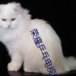 荣耀乒乓电视剧免费观看完 （枕戈剚刃）