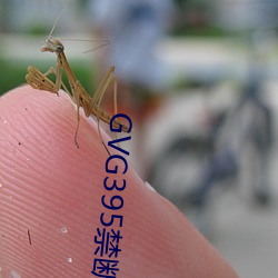 GVG395禁断介護波多野结 （飞鸿印雪）